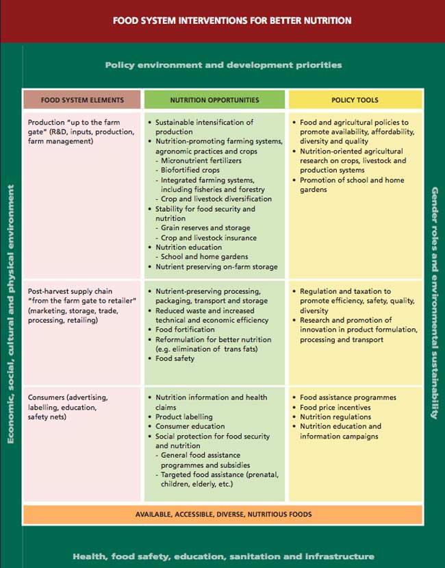 FAO_2013_Report_Food_System_Chart_ScreenShot.jpg