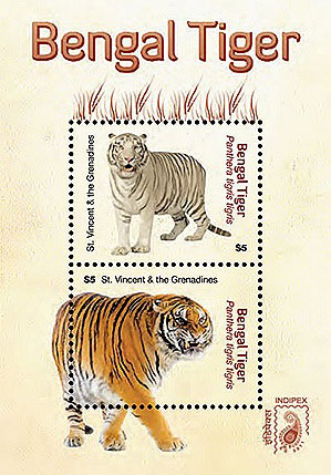Tiger – a national symbol of India since Indus Valley Civilisation | Tribal  Cultural Heritage in India