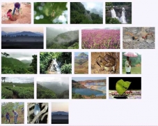 west_ghats_ecology_animals_screenshot_06