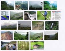 west_ghats_ecology_animals_screenshot_07