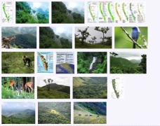 west_ghats_ecology_animals_screenshot_08