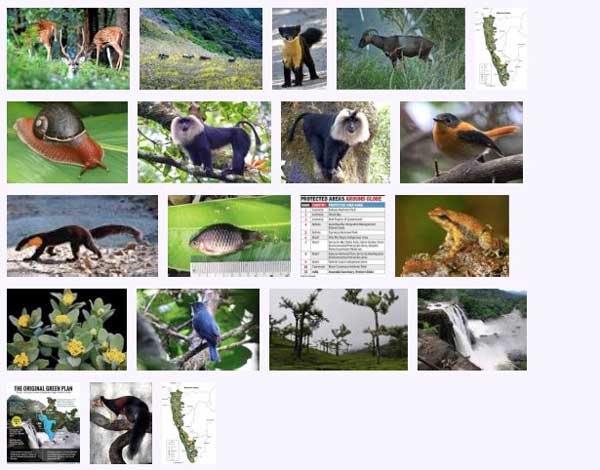 west_ghats_ecology_animals_screenshot_03