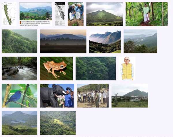 west_ghats_ecology_animals_screenshot_05